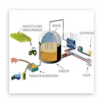 Separación de fases (sólido/líquido) - Procesos de producción de fertilizantes a partir del digestato